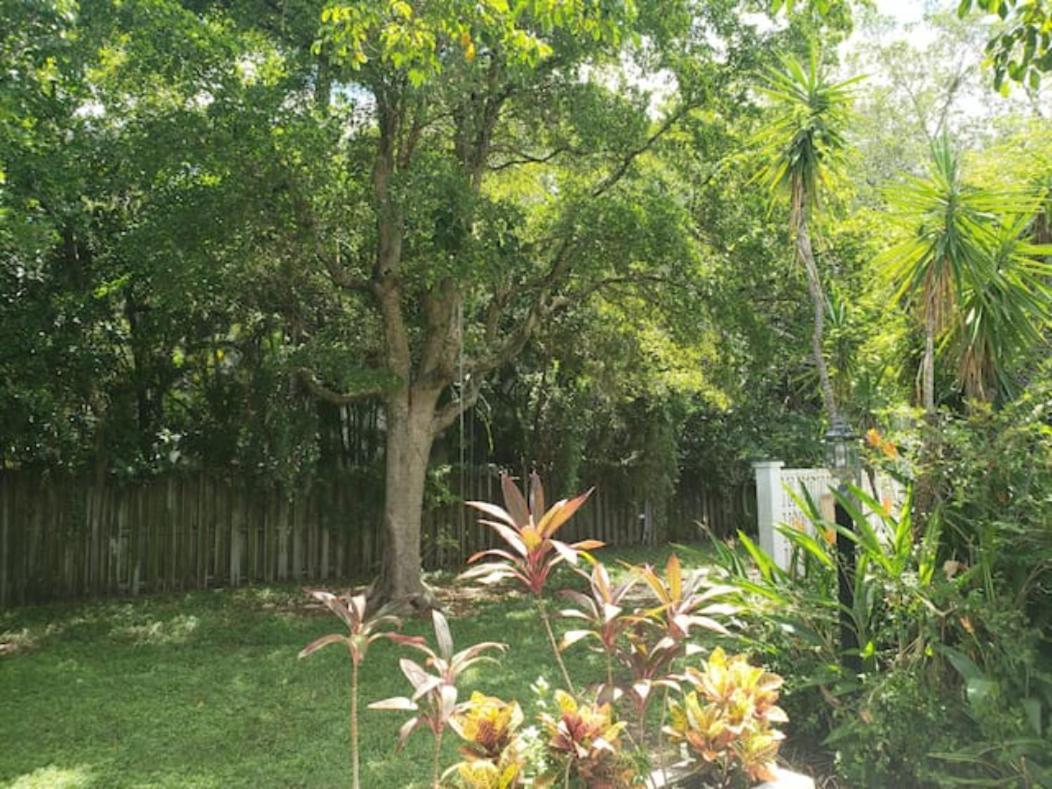 Apts With Backyard Near Fort Lauderdale Beach, Nightlife, Cruise Port, Airport 外观 照片